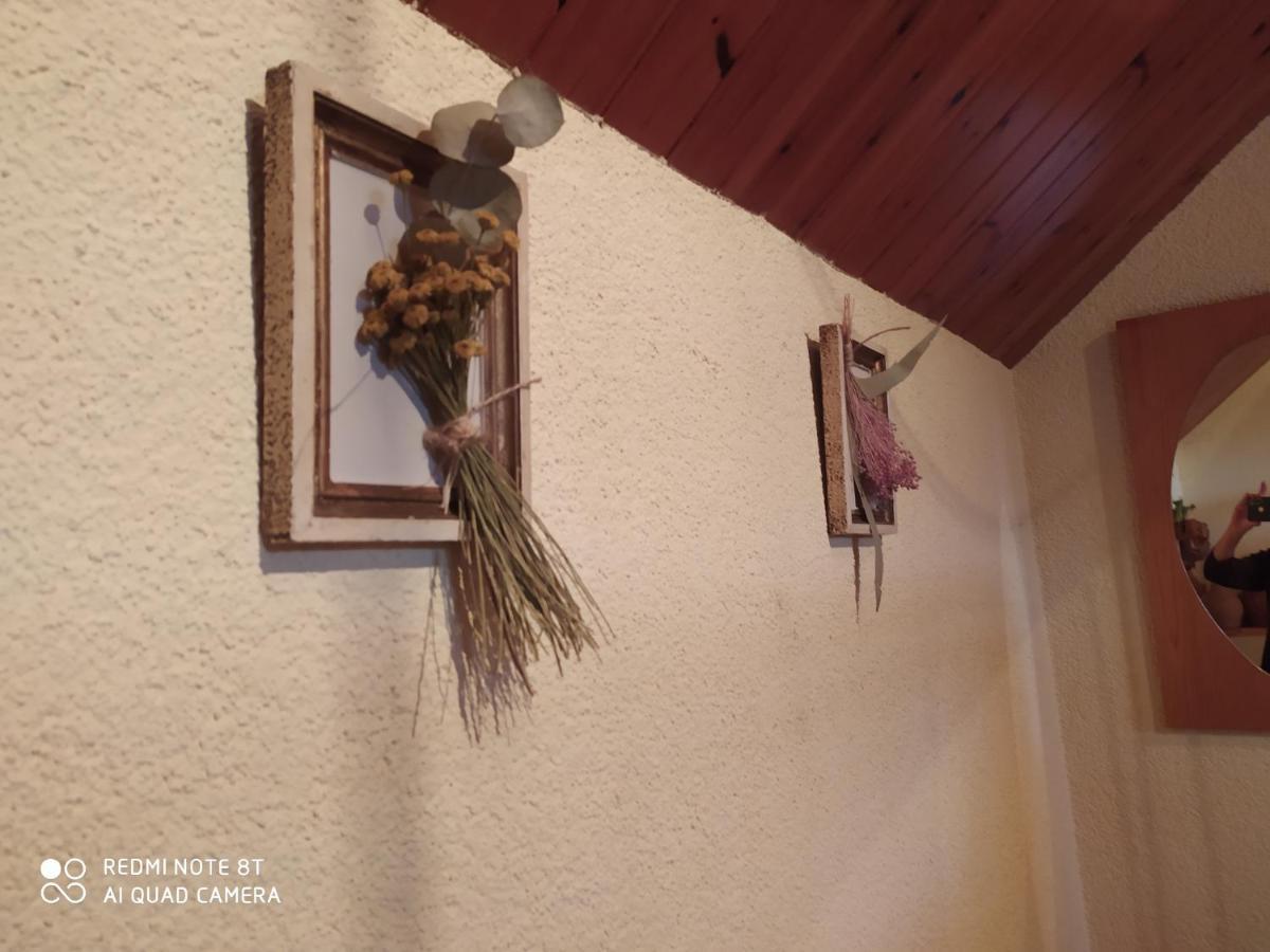 Chalet Entre Parques Naturales Vallgorguina Ngoại thất bức ảnh