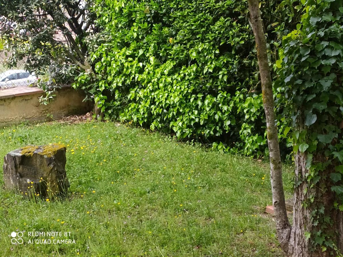 Chalet Entre Parques Naturales Vallgorguina Ngoại thất bức ảnh