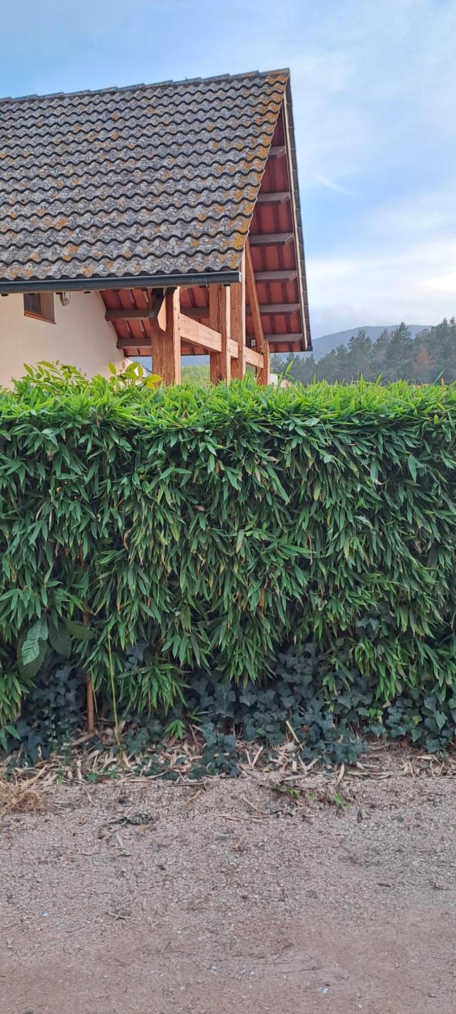 Chalet Entre Parques Naturales Vallgorguina Ngoại thất bức ảnh